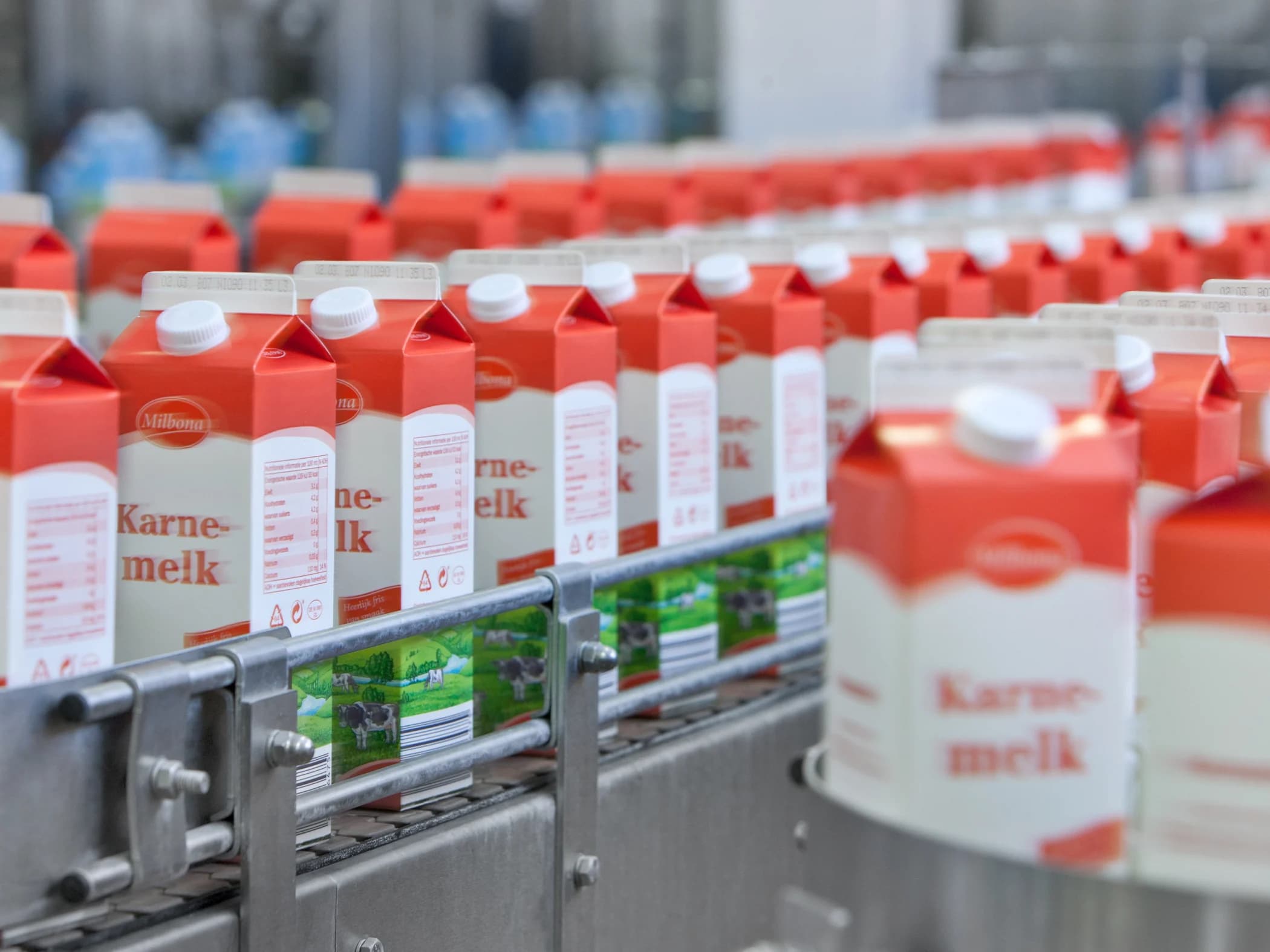 buttermilk-cartons-onveyer-belt-dairy-production-facility